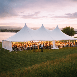 40 x 80 high-peak pole tent (commercial grade)